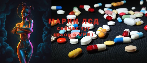 прущие грибы Мегион