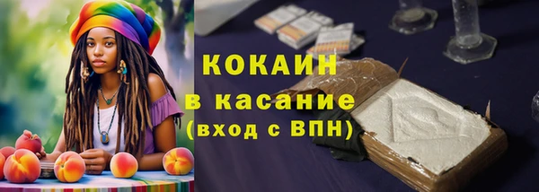 прущие грибы Мегион