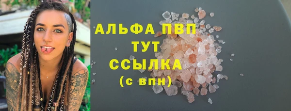 прущие грибы Мегион