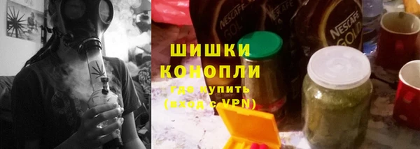 шишки Медногорск