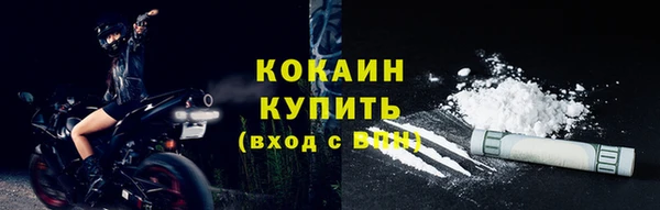 прущие грибы Мегион