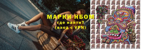 шишки Медногорск