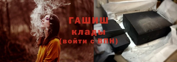 шишки Медногорск