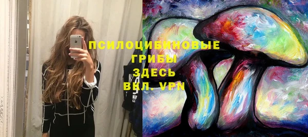 прущие грибы Мегион
