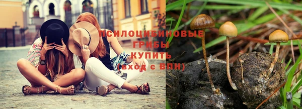соль ск Магас