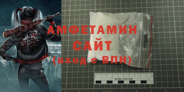 шишки Медногорск