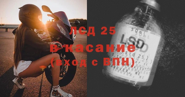 прущие грибы Мегион