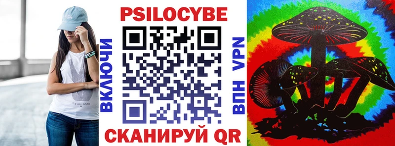 Галлюциногенные грибы Psilocybe  Межгорье 