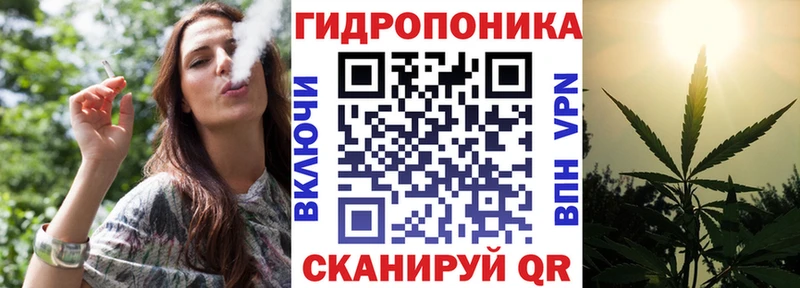Бошки марихуана семена  магазин продажи наркотиков  Межгорье 