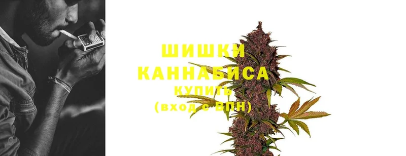 Бошки марихуана OG Kush  кракен сайт  Межгорье 